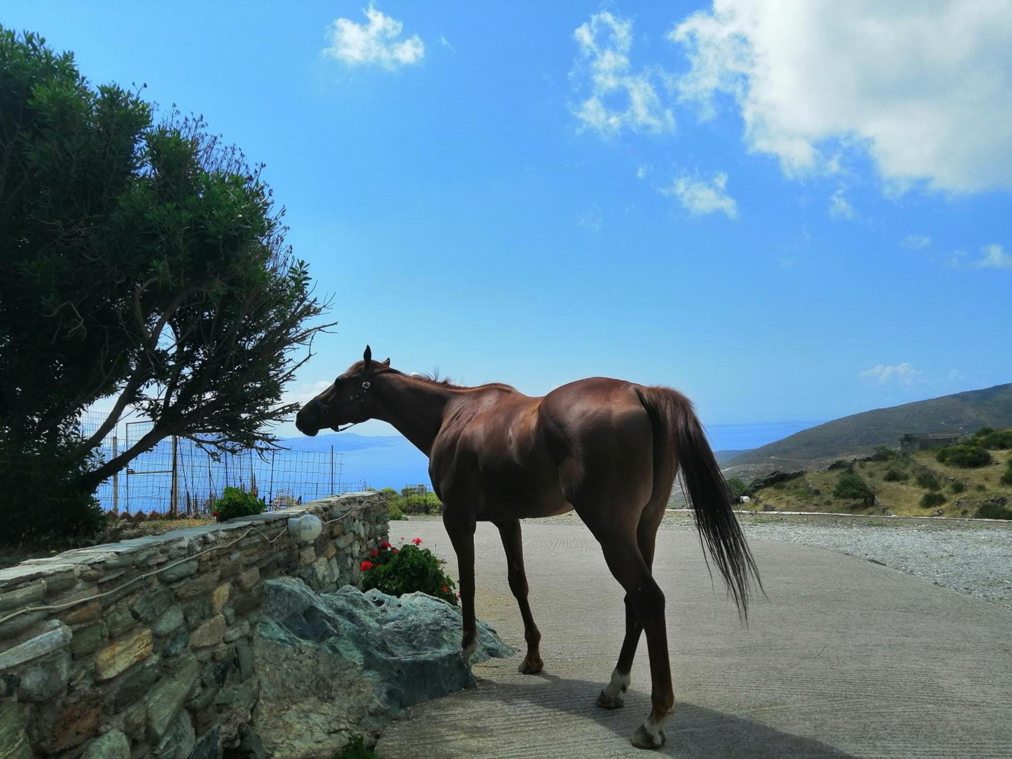 הוילה Stení Balcony To The Aegean מראה חיצוני תמונה