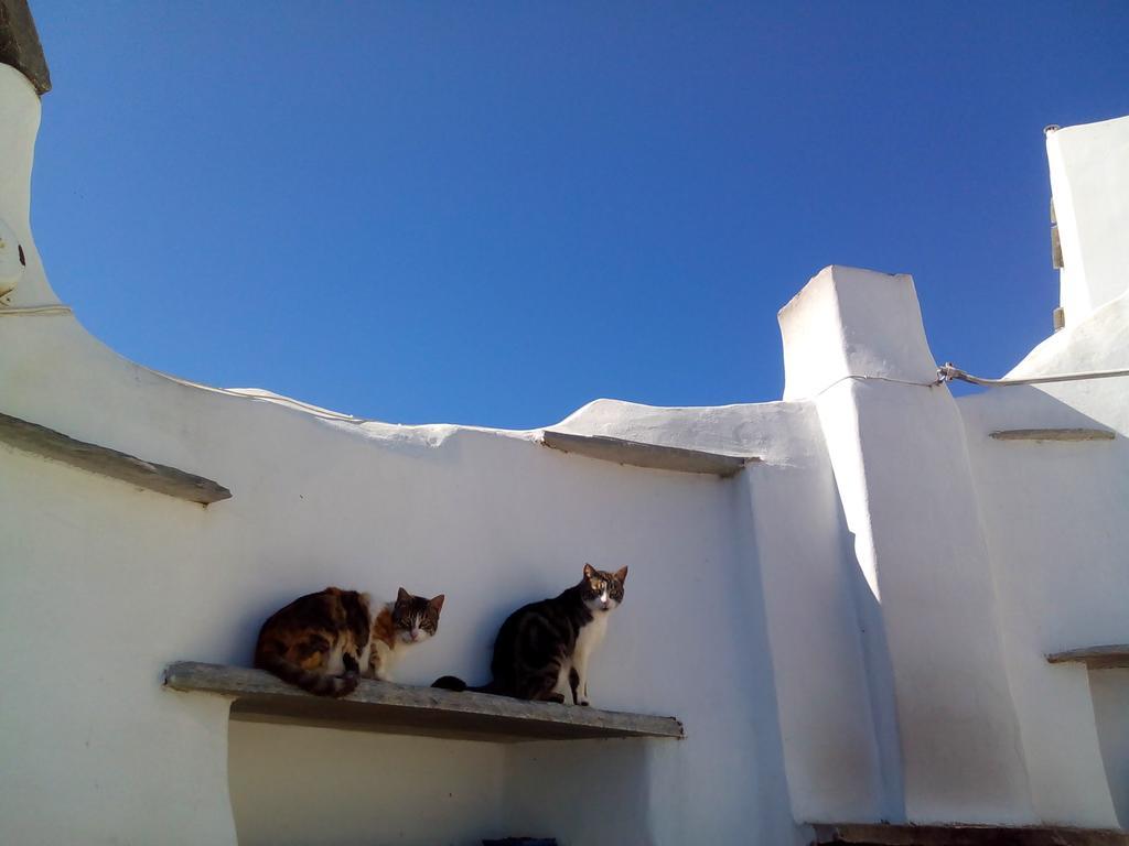 הוילה Stení Balcony To The Aegean מראה חיצוני תמונה